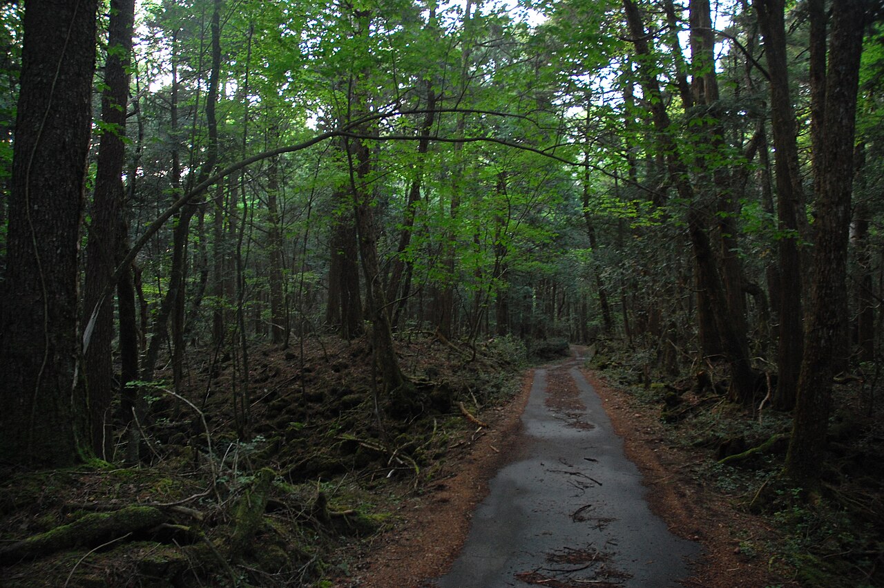 The cleared, overgrown site near Kamikuishiki where Gulliver's Kingdom Japan once stood before demolition.